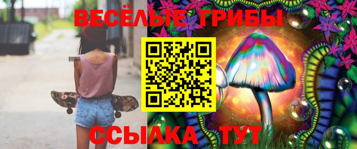Галлюциногенные грибы GOLDEN TEACHER Озёрск