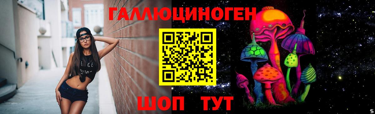 Озёрск  Галлюциногенные грибы Cubensis  Вход с VPN 
